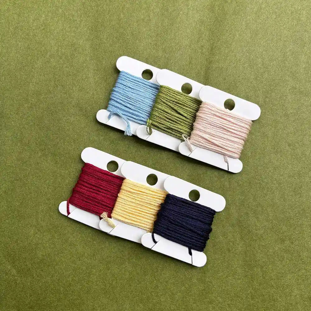 Kit de Broderie + Guide Numérique